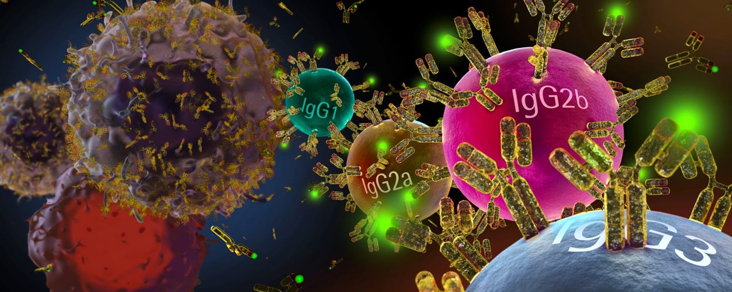 Expediting Antibody Discovery with a Cell and Bead Multiplexed