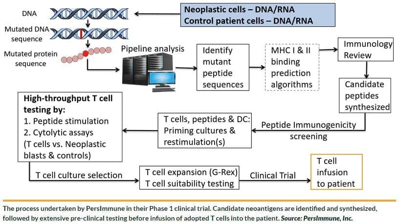 Editorial Article Personalized Adoptive T Cell Therapy A New