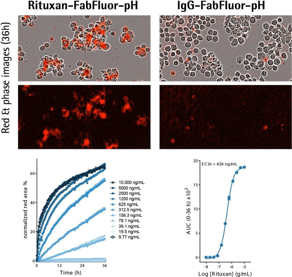 B-Cells - Intellicyt