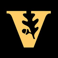 synergy vanderbilt